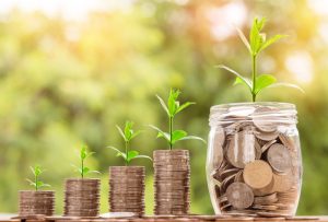 Danville Credit Card Debt Management Canva Plants Growing From Piled Coins 300x203